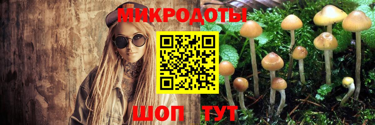 Псилоцибиновые грибы GOLDEN TEACHER Бутурлиновка