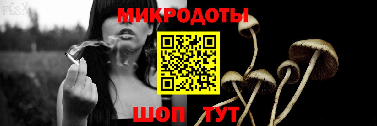 Галлюциногенные грибы Psilocybine cubensis  Вход с VPN  Бутурлиновка  Галлюциногенные грибы Cubensis 